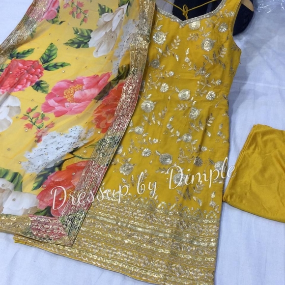 Meet your Posher, Dimple - Picture 2 of 5